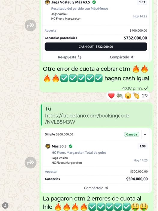 Captura de ganancia verificada de un miembro VIP